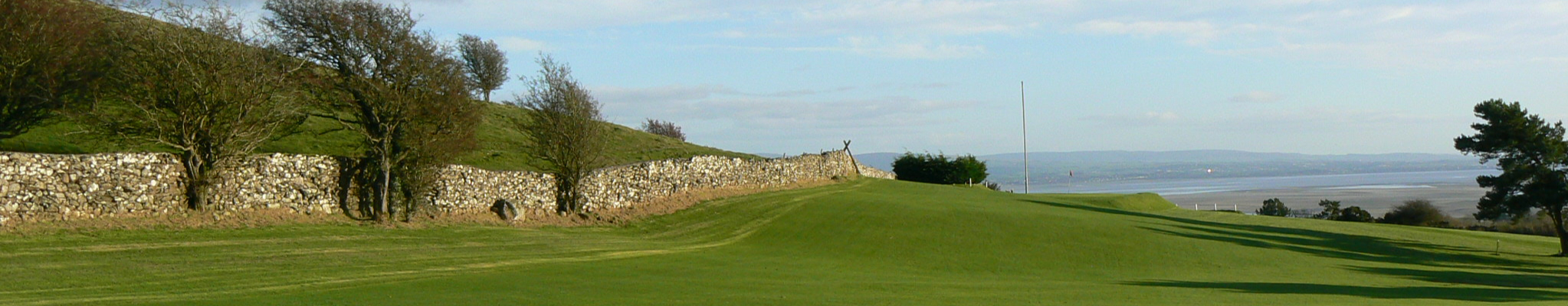 Image of golf ball on tee on grass.